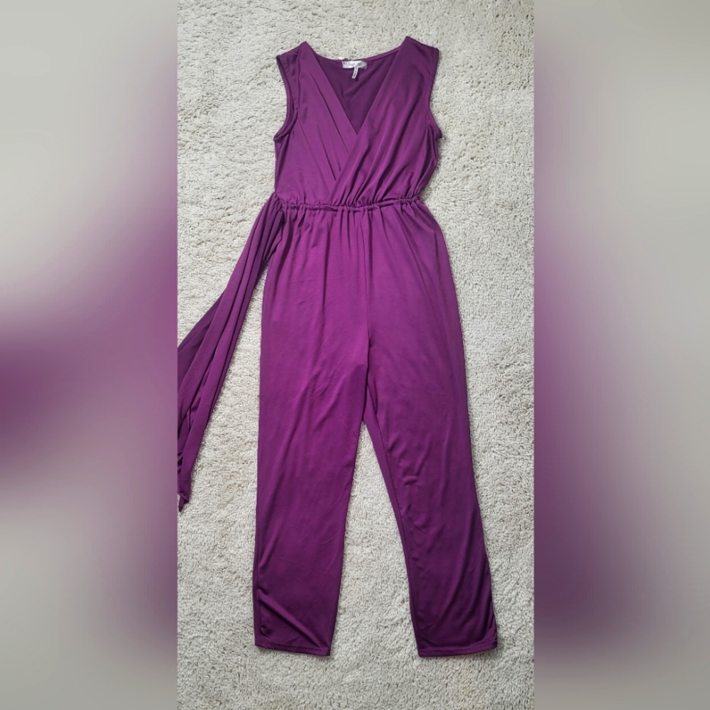 Elegant Purple Jumpsuit NWT